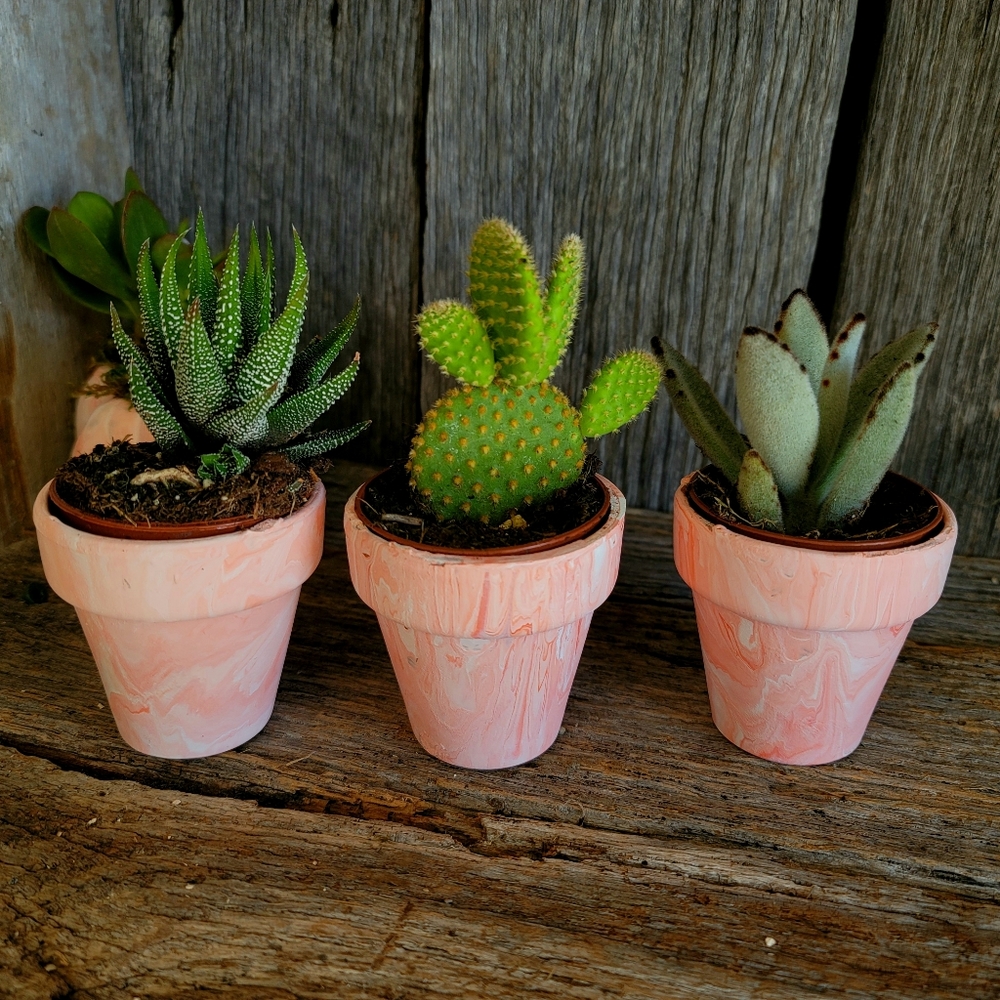 Small Pink Marble Handpainted Terra Cotta Pots